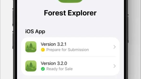 App Store Connect screenshot 2