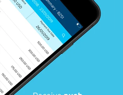 CitiManager – Commercial Cards screenshot 2