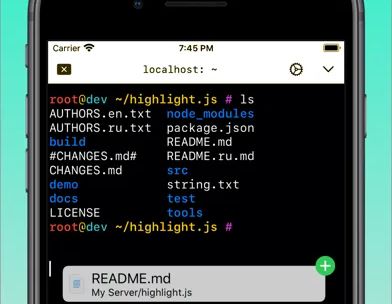 SSH Client - Secure ShellFish screenshot 2