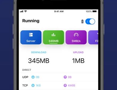 Quantumult X screenshot 2