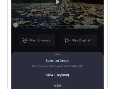 Audio Noise Reducer & Recorder screenshot 5