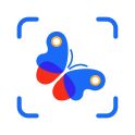 Picture Insect: идентификация