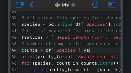 Juno – Python и Jupyter screenshot 2