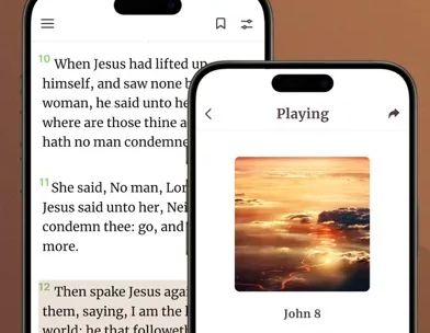 Biblia Reina Valera con Audio screenshot 4