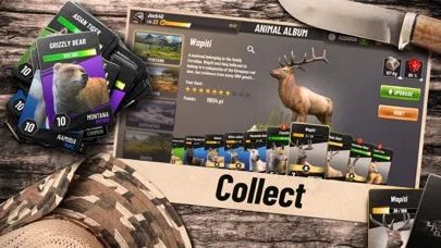 Hunting Clash: Гра мисливська screenshot 4