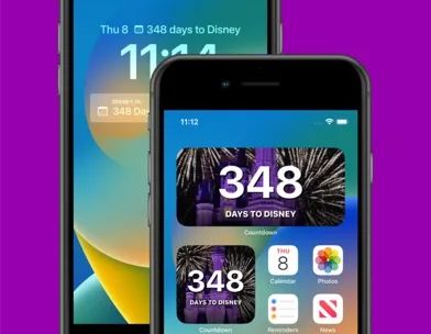Countdown for Disney World screenshot 2