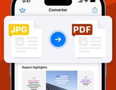 PDF screenshot 4
