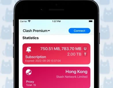 Stash - Rule Based Proxy screenshot 2