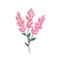 Трекер Бюджету - Fleur