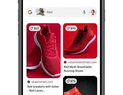 Google screenshot 5