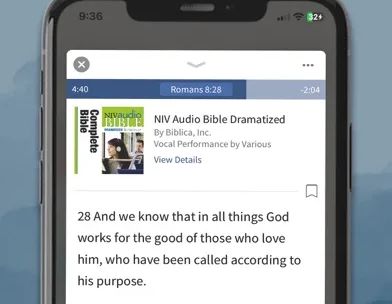NIV Bible App + screenshot 4