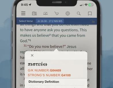 NIV Bible App + screenshot 5