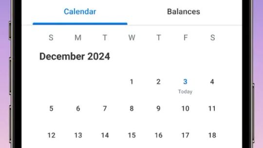 Workday screenshot 5