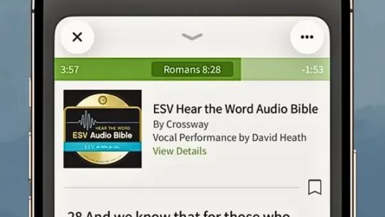 Bible App - Read & Study Daily screenshot 4