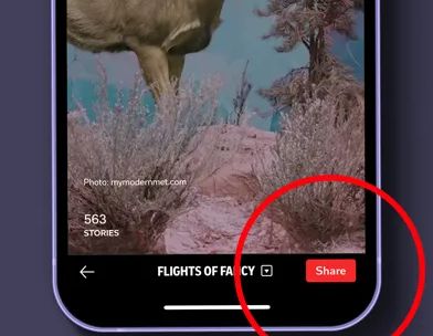 Flipboard screenshot 5