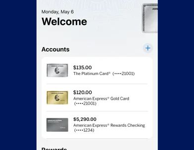 Amex screenshot 2