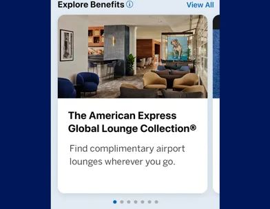 Amex screenshot 3