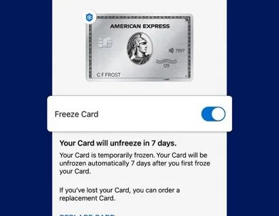 Amex screenshot 5