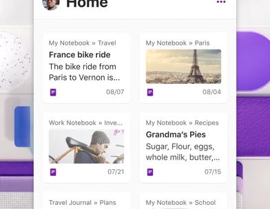 Microsoft OneNote screenshot 3