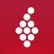Vivino: сканер вина