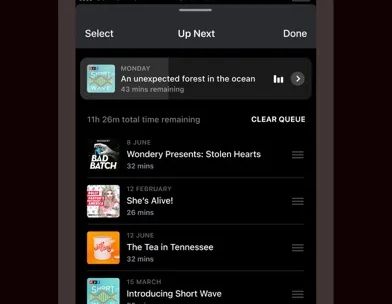 Pocket Casts: Podcast Player screenshot 4