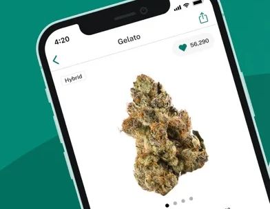 Leafly: Find Weed Near You screenshot 1