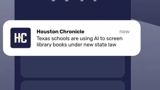 Houston Chronicle screenshot 3