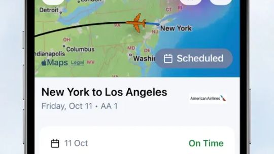 The Flight Tracker screenshot 2