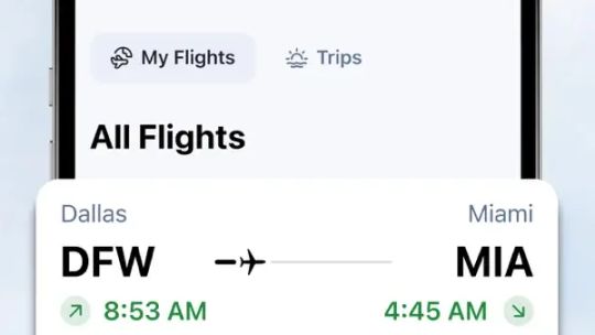 The Flight Tracker screenshot 4