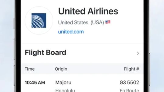 The Flight Tracker screenshot 5