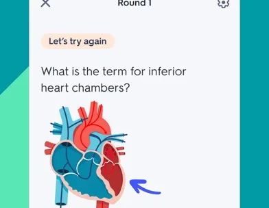 Quizlet: навчання за картками screenshot 4