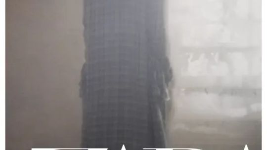ZARA screenshot 1