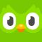 Duolingo — вивчення мови
