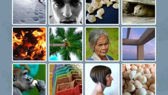 Pictoword: Словарные викторины screenshot 4