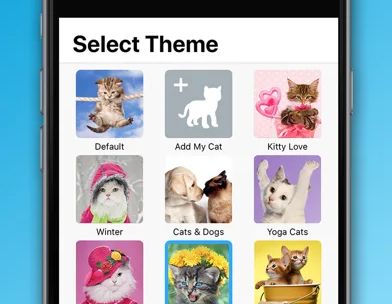 Weather Kitty: Weather + Radar screenshot 5