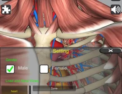 3D Anatomy screenshot 4