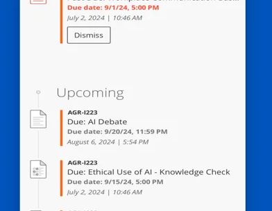 Blackboard screenshot 1