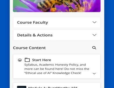Blackboard screenshot 3