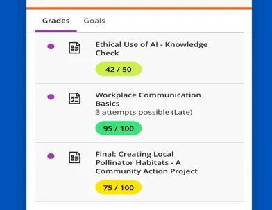 Blackboard screenshot 4