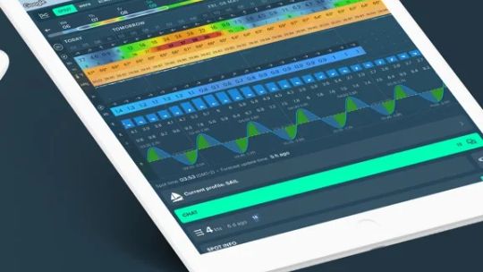 Windy: Pronóstico del tiempo screenshot 2