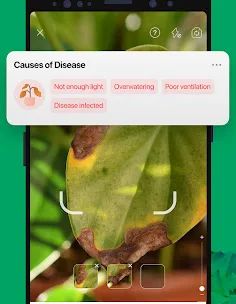 PictureThis - Plant Identifier screenshot 4