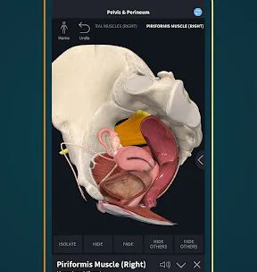 Complete Anatomy - Learn in 3D screenshot 5