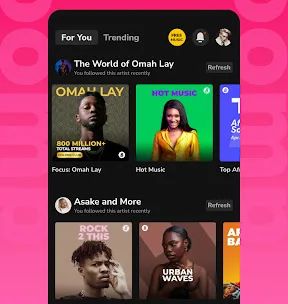 Boomplay - Download Music MP3 screenshot 3