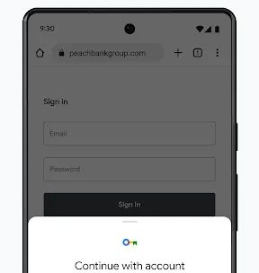 Google Chrome screenshot 2