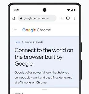Google Chrome screenshot 5