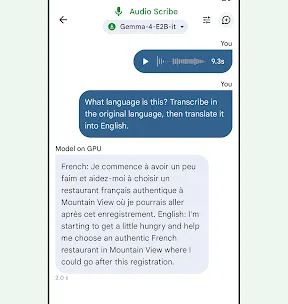 Google AI Edge Gallery screenshot 5