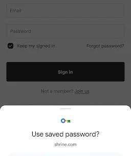 Google Password Manager screenshot 2