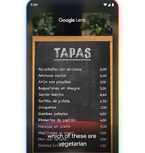 Google screenshot 4