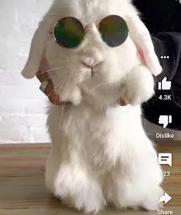 YouTube screenshot 2