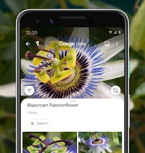 Google Об’єктив screenshot 4